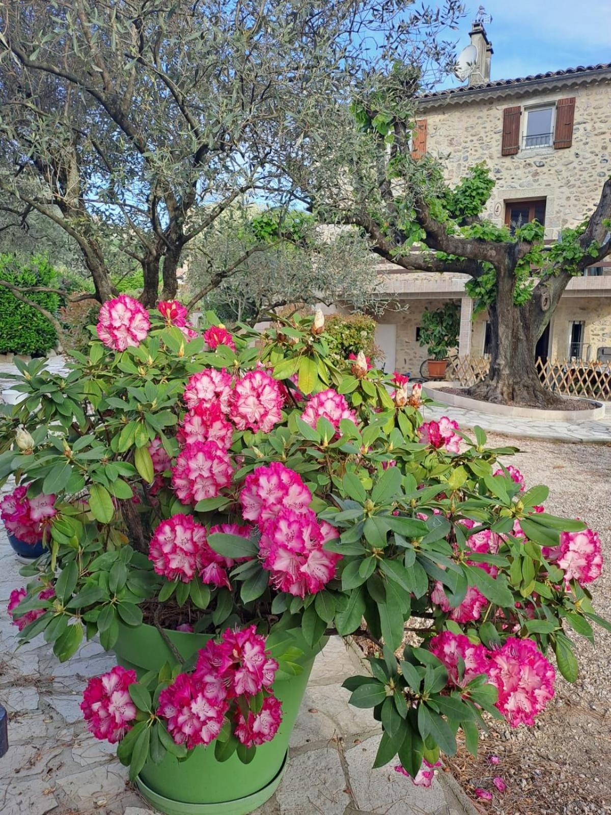Gite 3 "Le Canal De Baza" Aux Magnolias Aubenas Exterior photo
